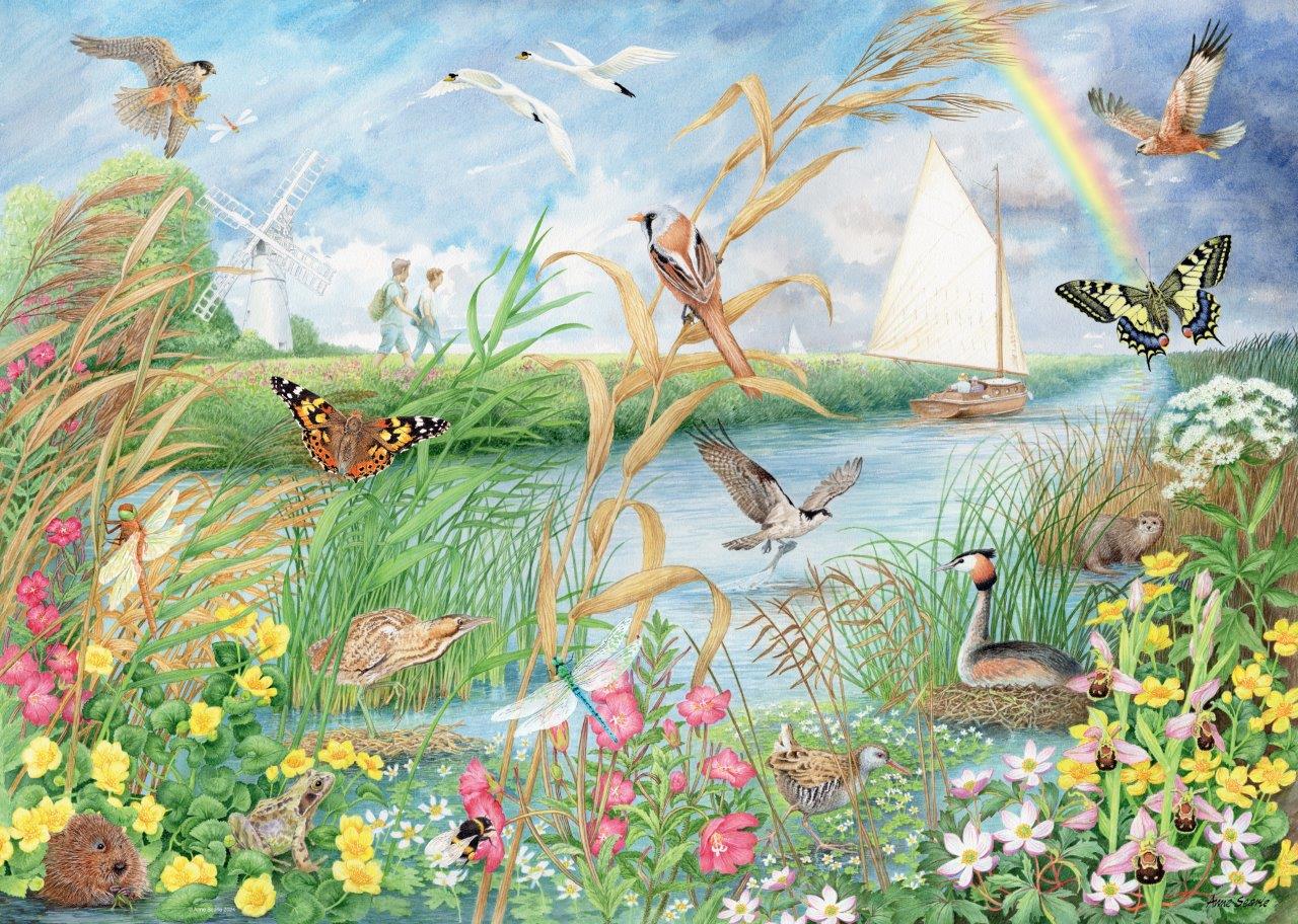 Norfolk Broads, 1000pc - Image 3
