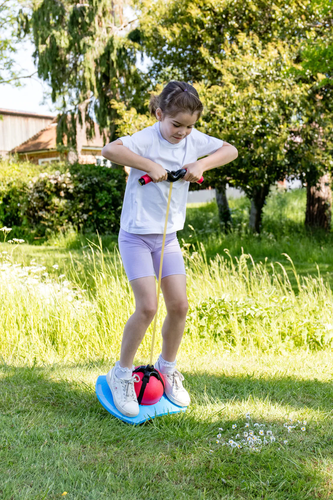 Pogo Ball Hopper - Image 3