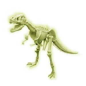 Scibits Grow T-Rex Skeleton - Image 3