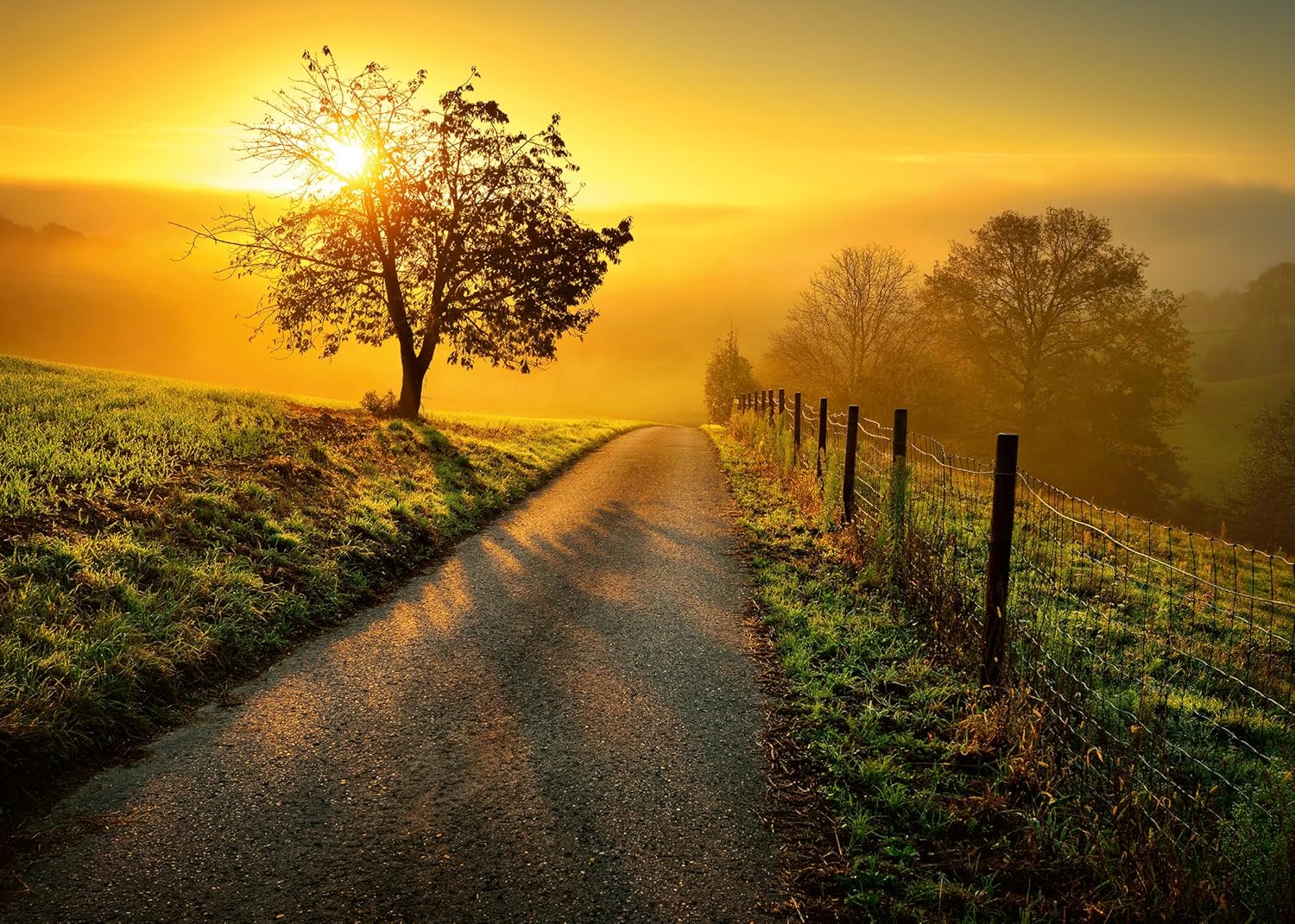 Ravensburger Landscape in the Morning Sun 1000 Piece Jigsaw Puzzle - Image 2