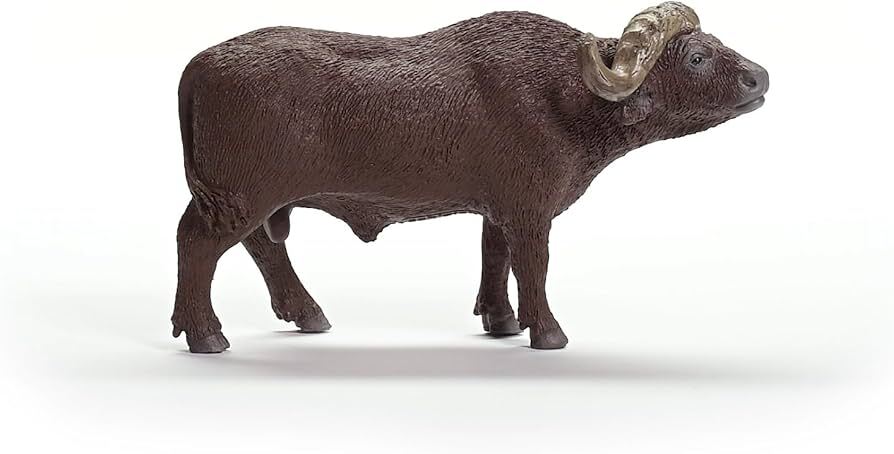 African Buffalo - Image 2