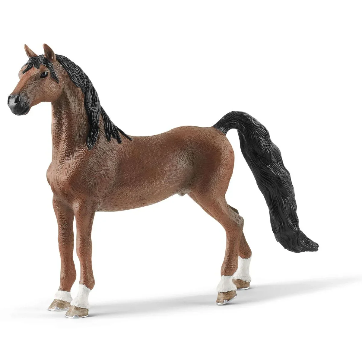 American Saddlebred gelding - Image 2