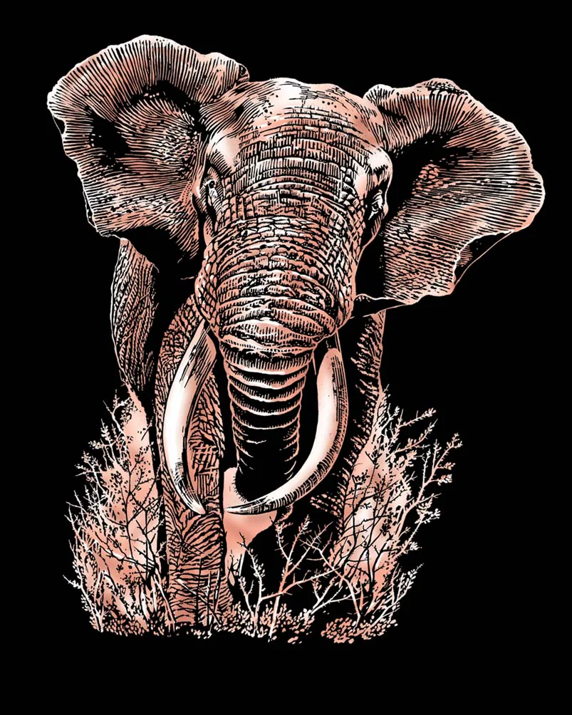 Artfoil Copper Elephant - Image 2