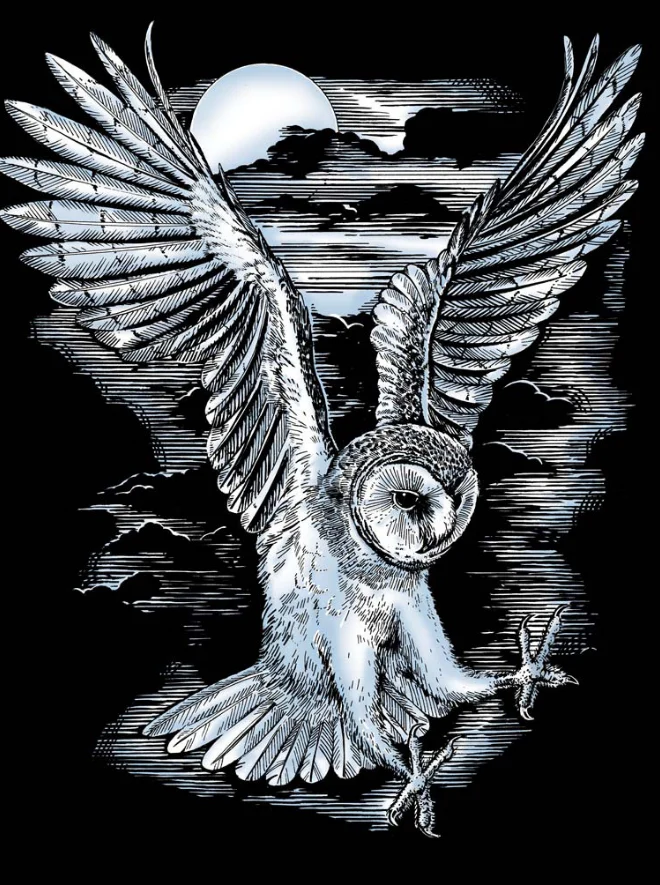 Artfoil Silver Barn Owl - Image 2