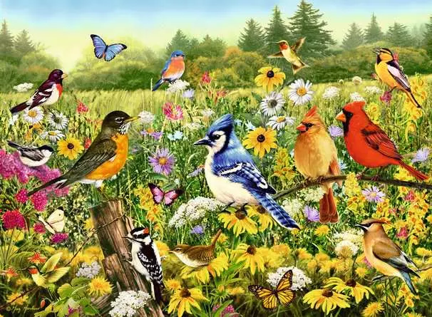 Ravensburger Birds in the Meadow 500 Piece Jigasw puzzle - Image 2