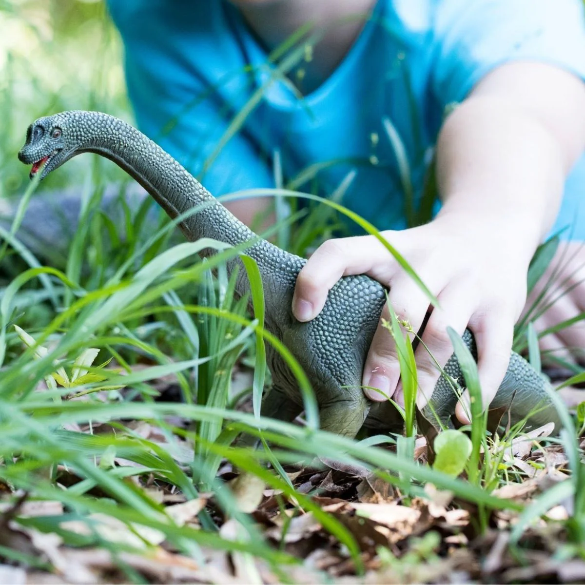 Brachiosaurus - Image 2