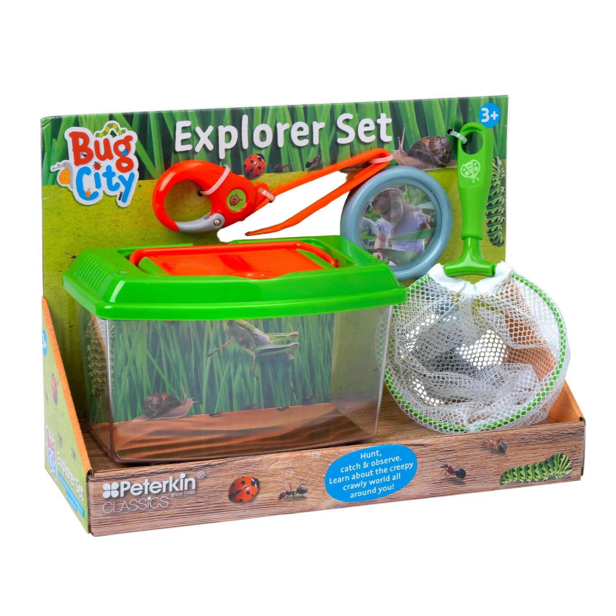 Bug City - Bug Explorer Set