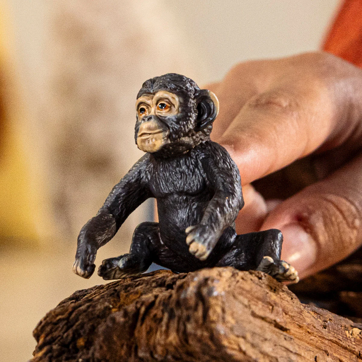 Chimpanzee Cub - Image 2