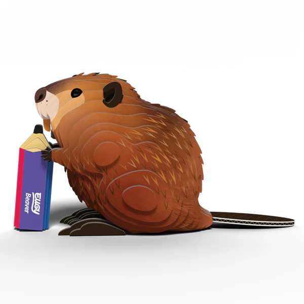 EUGY Beaver - Image 3