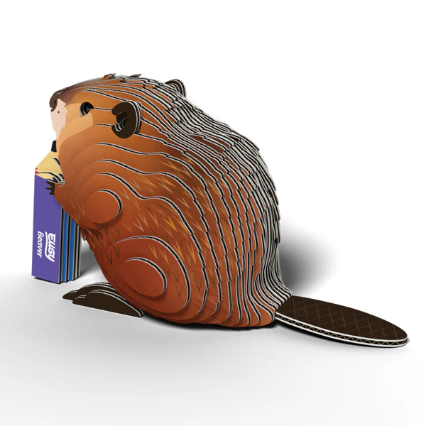 EUGY Beaver - Image 4