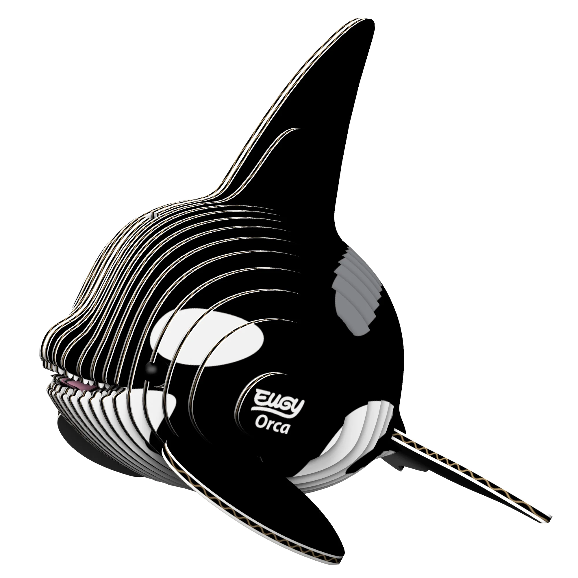 EUGY Orca - Image 3