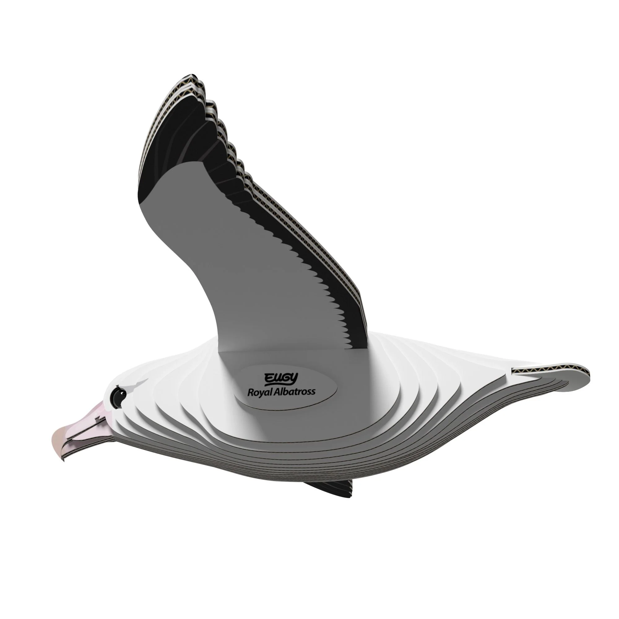 EUGY Royal Albatross - Image 3