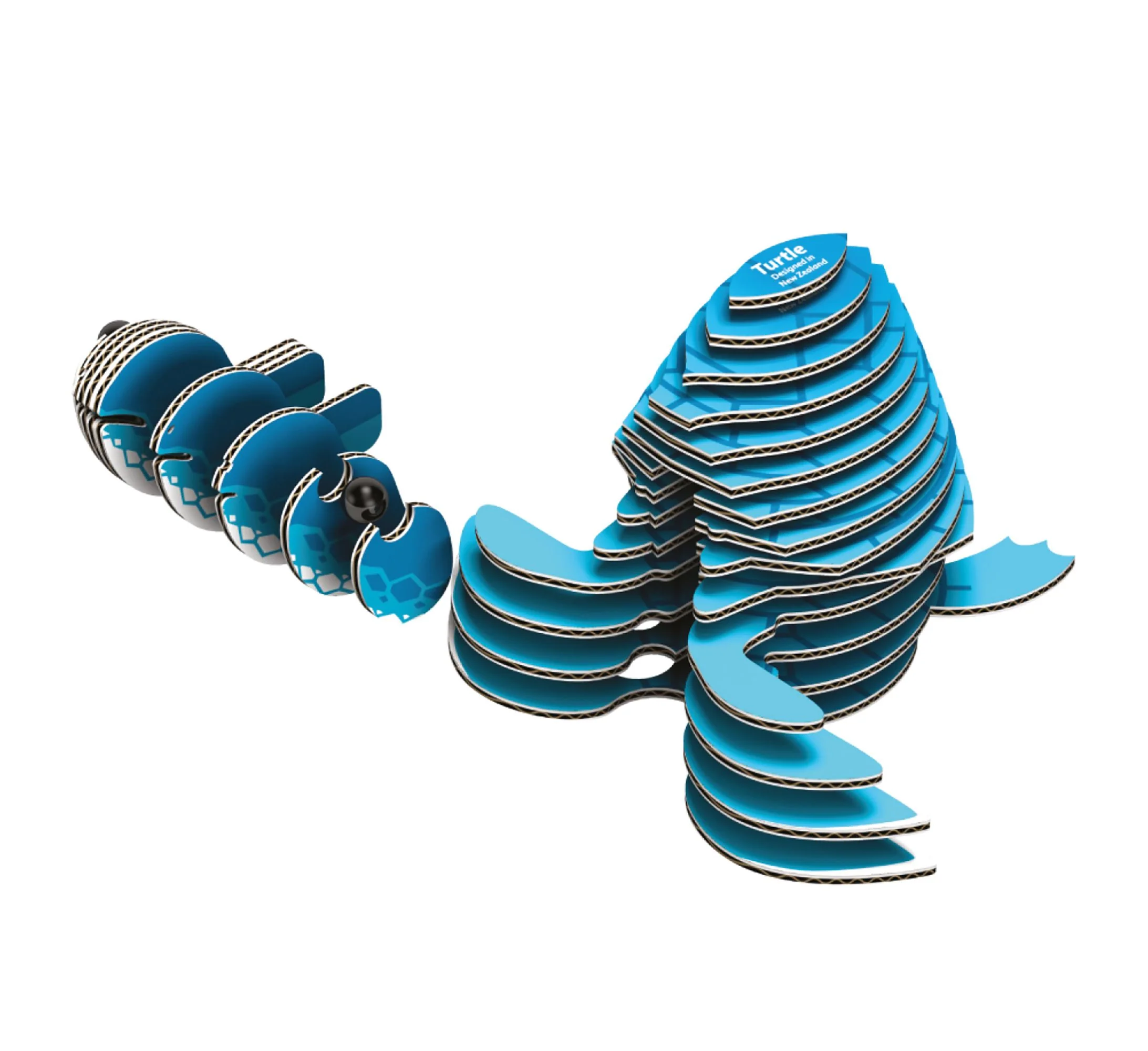 EUGY Turtle - Image 2