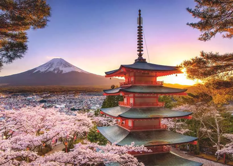 Ravensburger Fuji Cherry Blossom View 1000 Piece Jigsaw Puzzle - Image 2