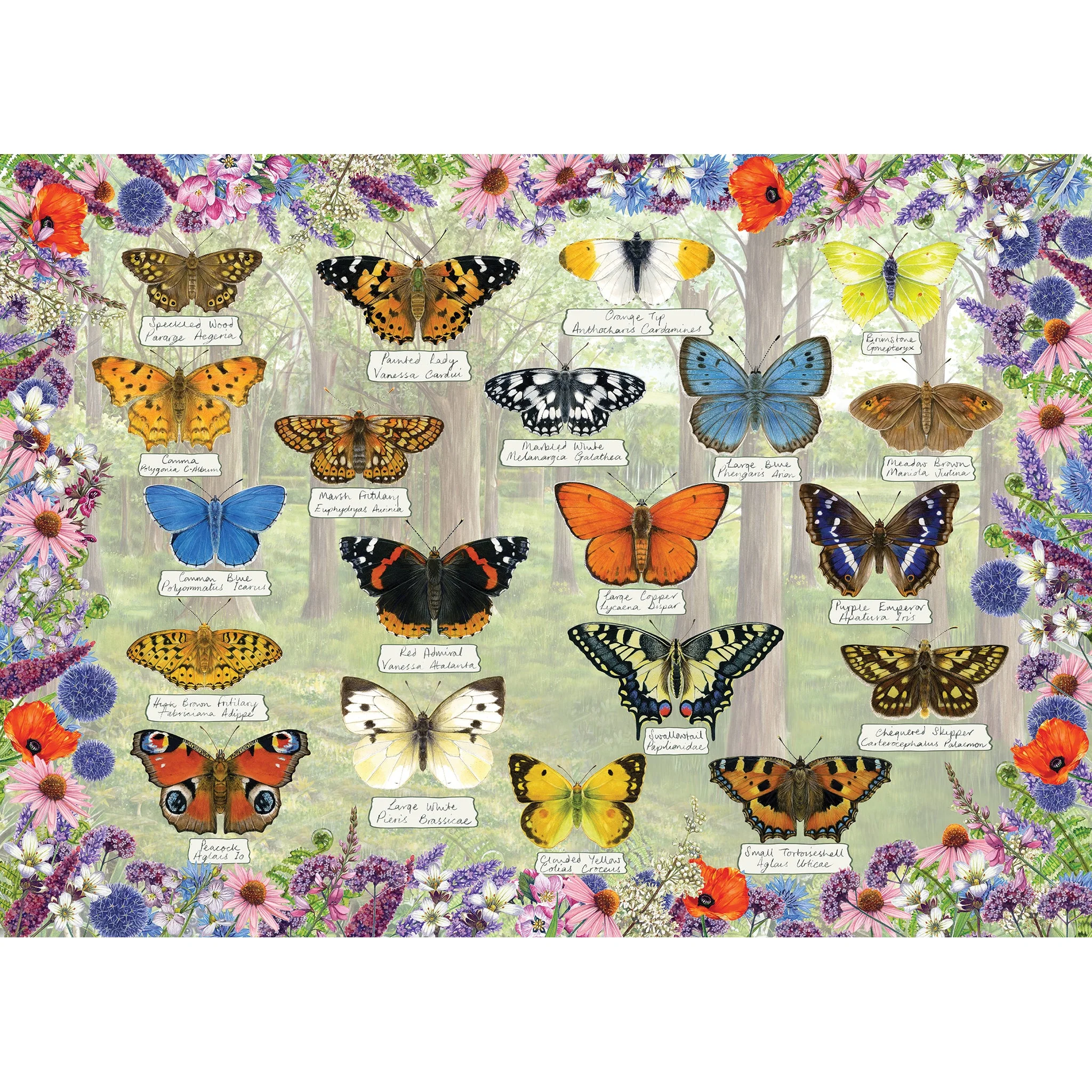 Gibsons Beautiful Butterflies 1000 piece Jigsaw Puzzle - Image 2