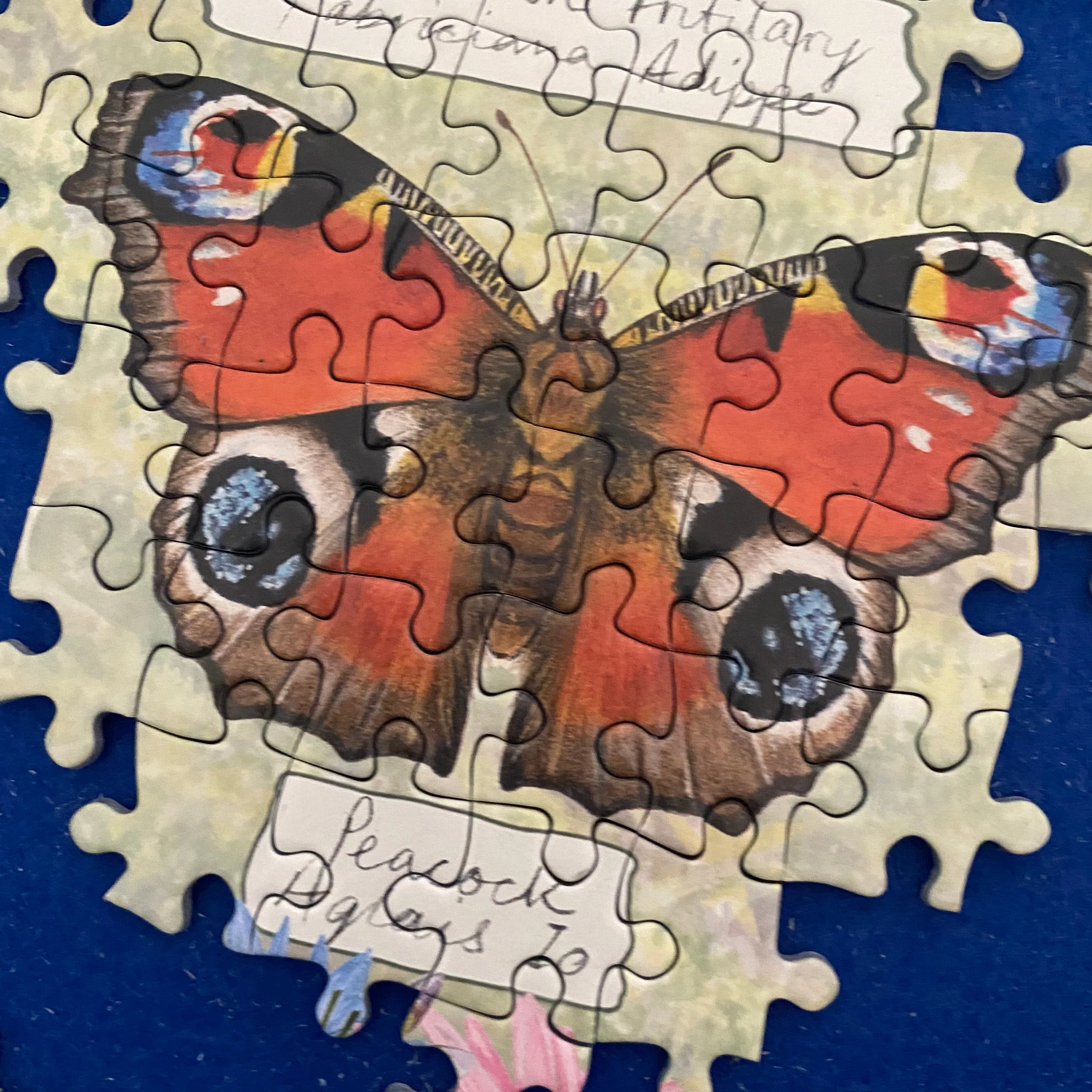 Gibsons Beautiful Butterflies 1000 piece Jigsaw Puzzle - Image 3