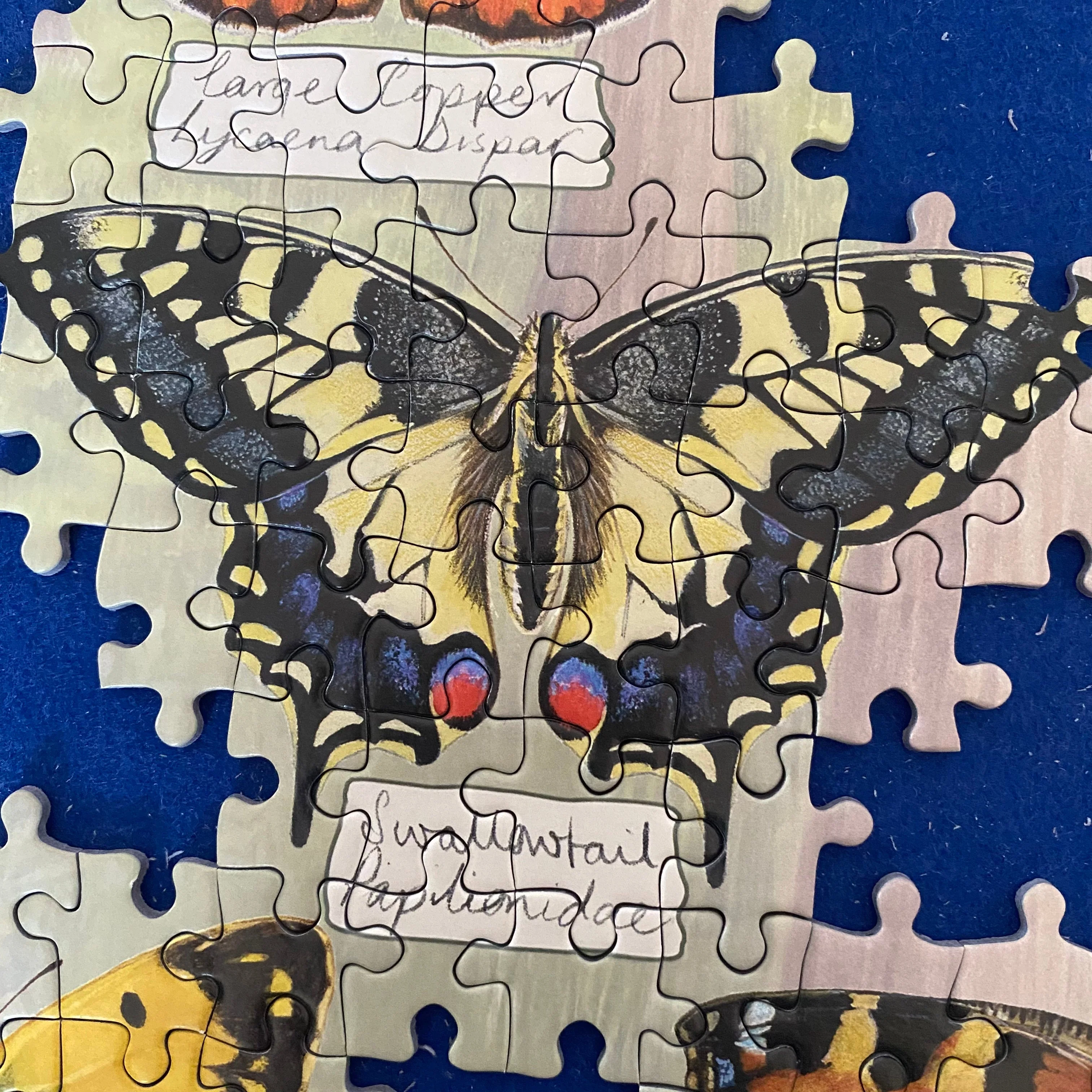 Gibsons Beautiful Butterflies 1000 piece Jigsaw Puzzle - Image 4