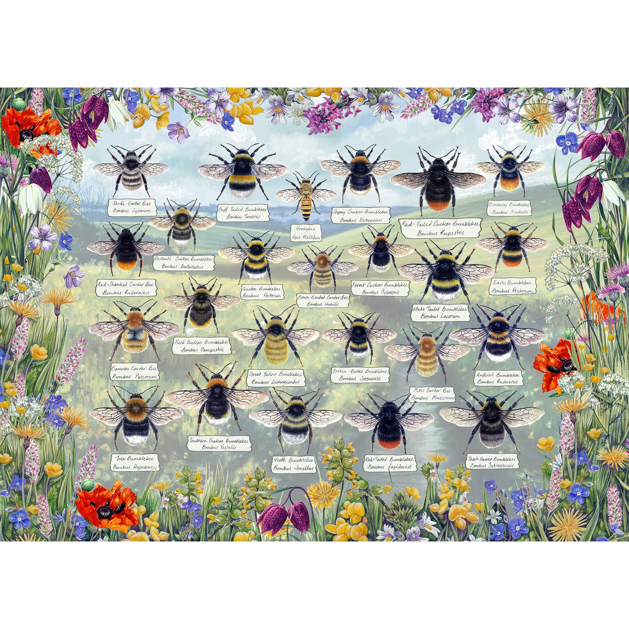 Gibsons Brilliant Bees 1000 piece Jigsaw Puzzle - Image 2