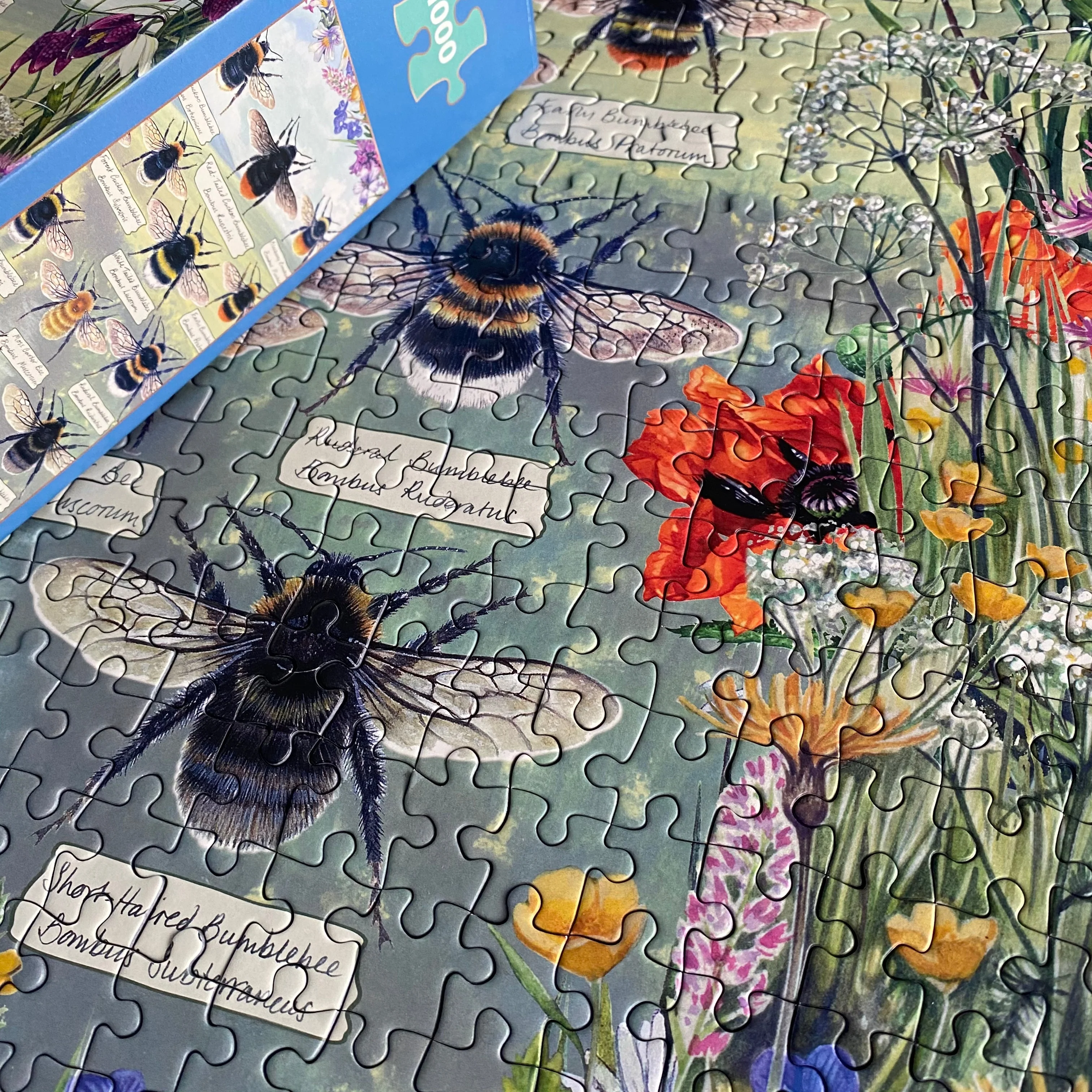 Gibsons Brilliant Bees 1000 piece Jigsaw Puzzle - Image 3