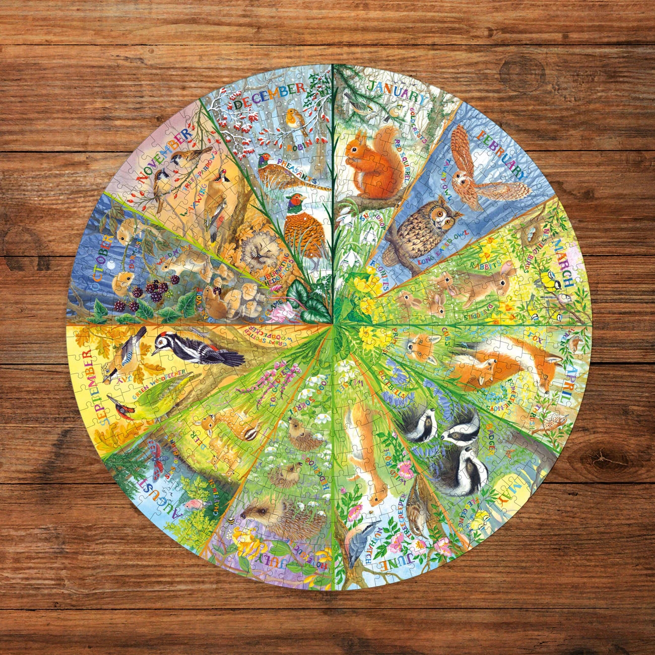 Gibsons National Trust: A Year in the Forest 500 piece Circle Jigsaw Puzzle - Image 3