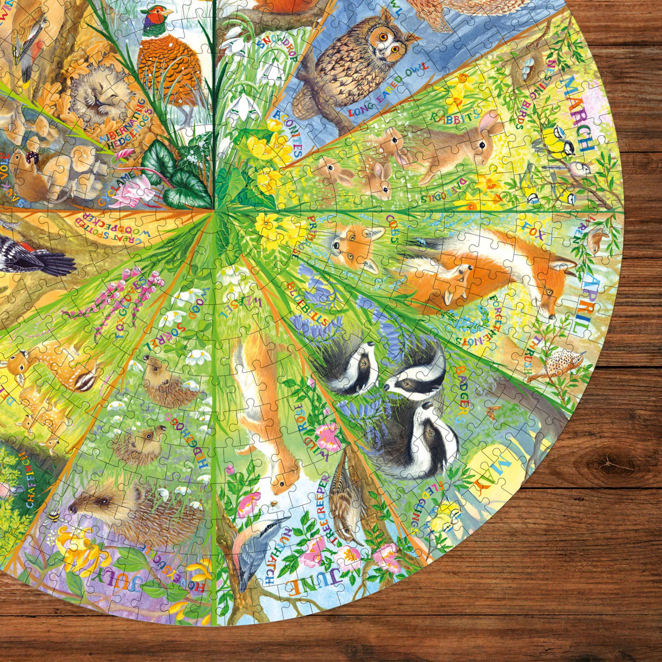 Gibsons National Trust: A Year in the Forest 500 piece Circle Jigsaw Puzzle - Image 4