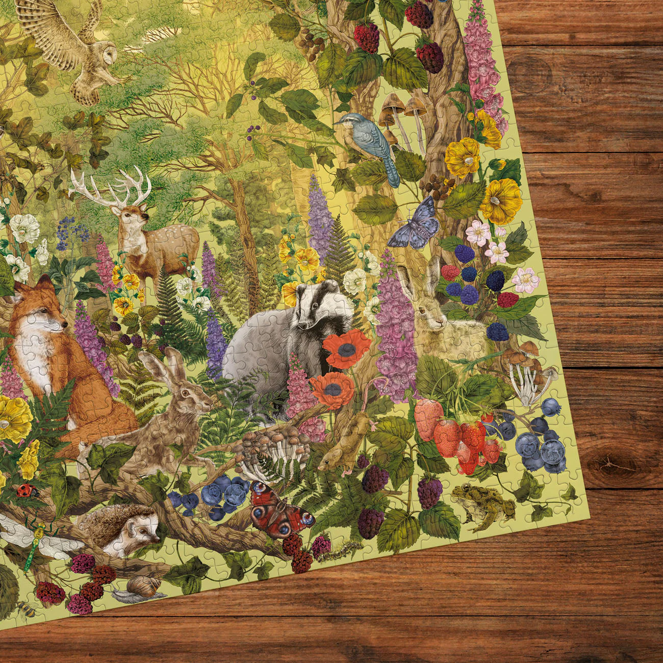 Gibsons The Art File: Sunlight Glade 1000 piece Jigsaw Puzzle - Image 4