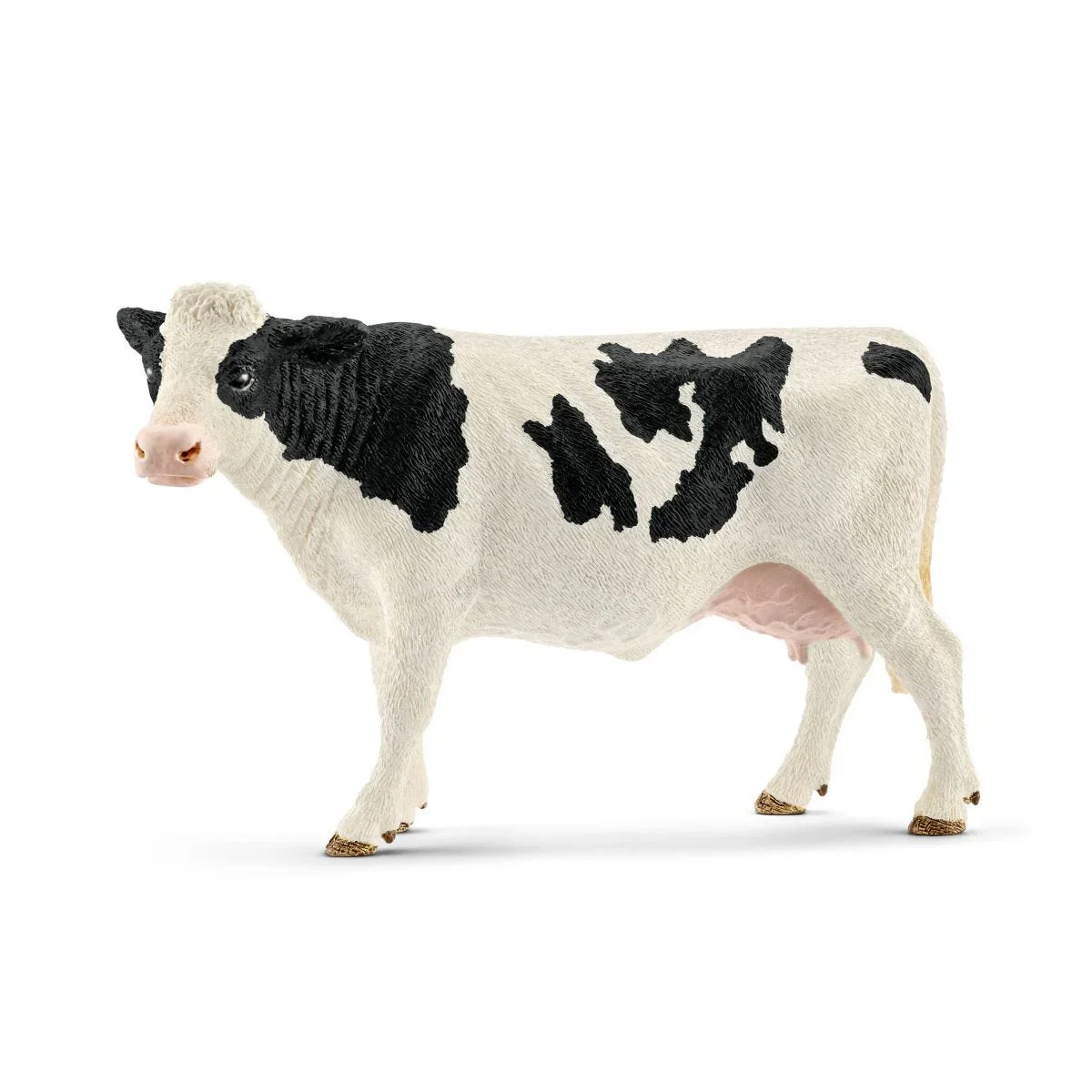 Holstein cow - Image 2