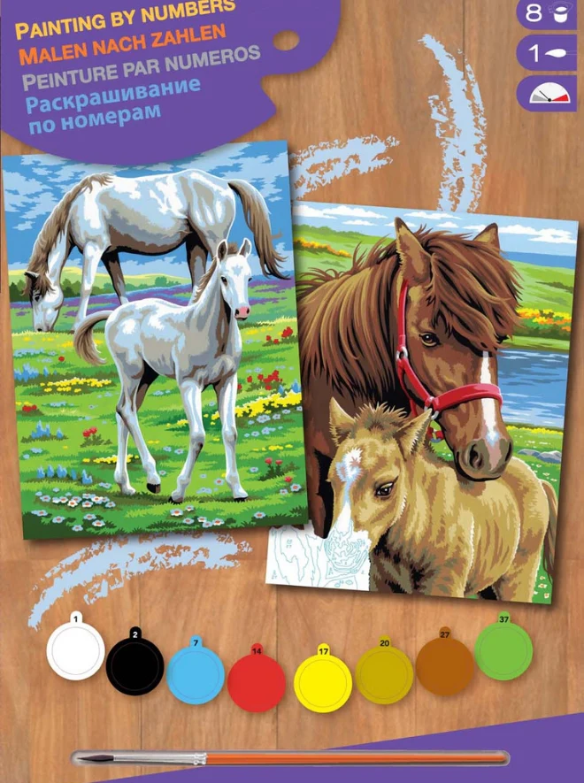 Junior Painting by Numbers Pairs Horses