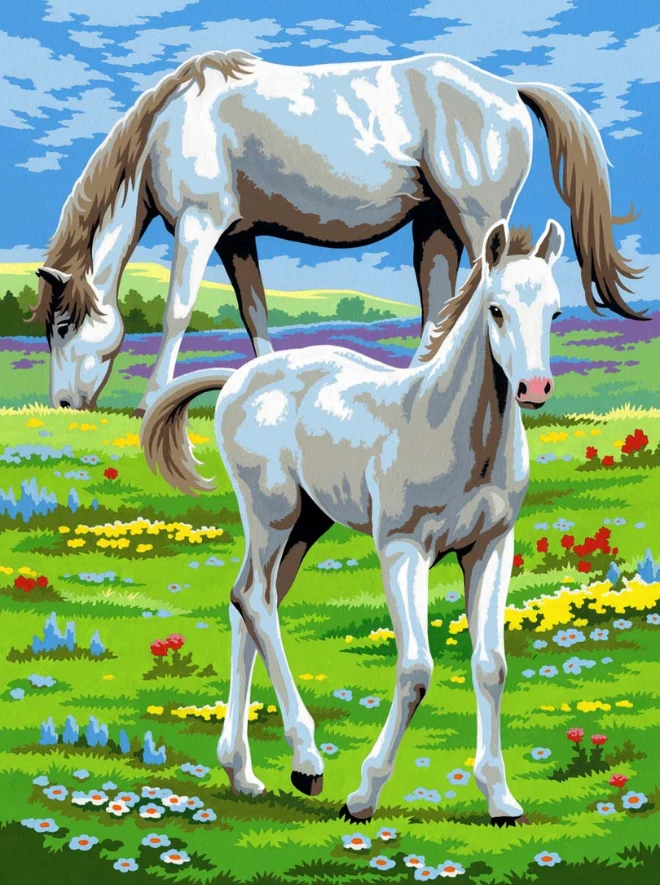 Junior Painting by Numbers Pairs Horses - Image 2