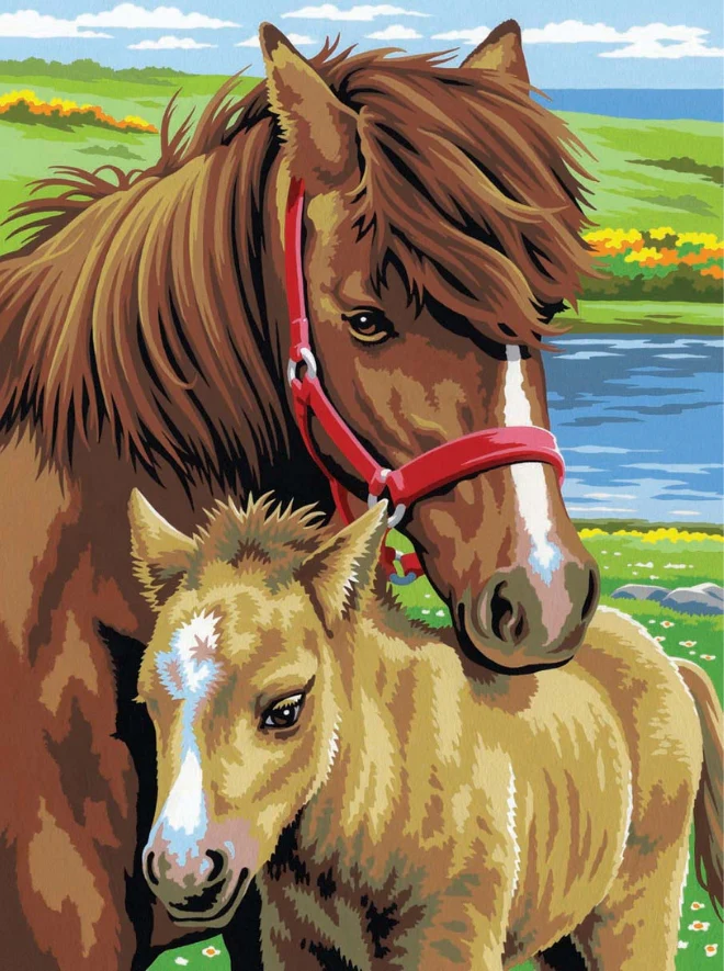 Junior Painting by Numbers Pairs Horses - Image 3