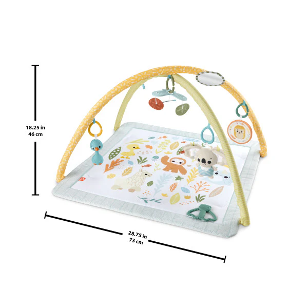 Fisher-Price Simply Senses Newborn Gym - Image 3