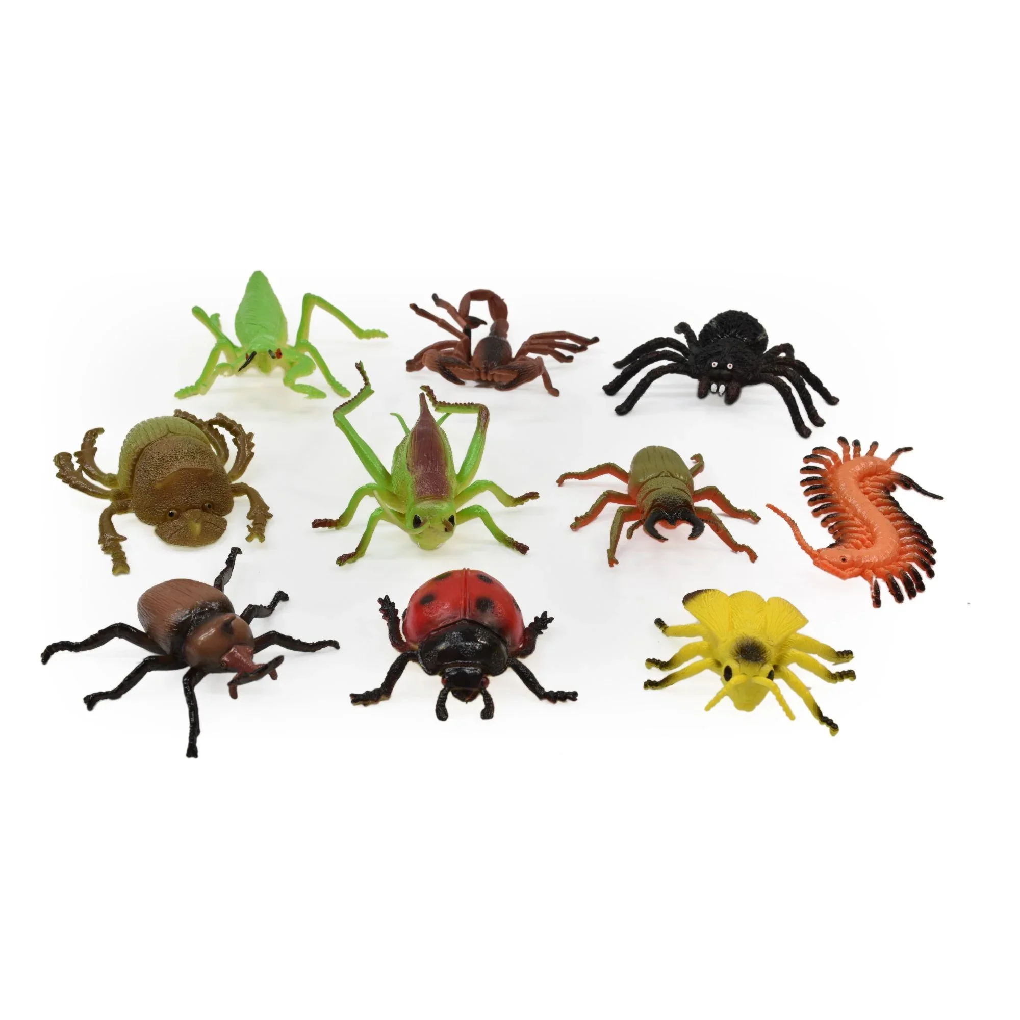 Insect World 10Pc Set - Image 2