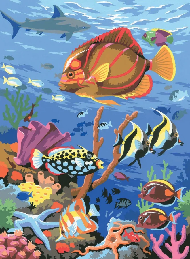 Junior Painting By Numbers Coral Scene - Image 2