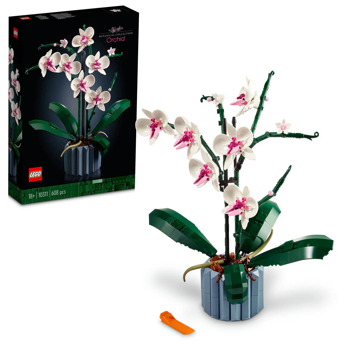 LEGO Orchid 10311 - Image 4
