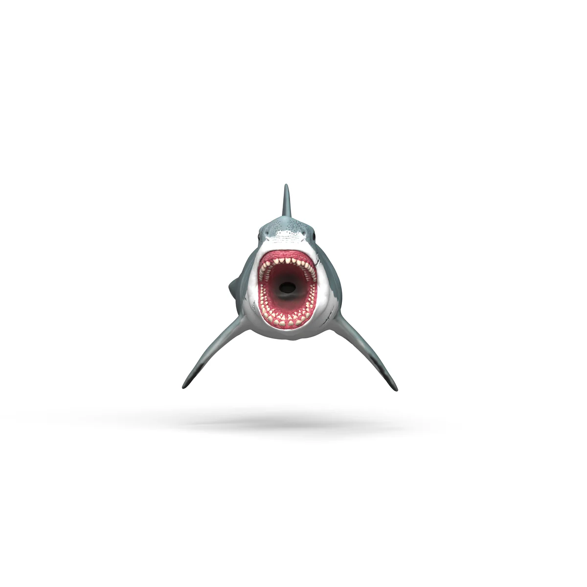 Megalodon - Image 2