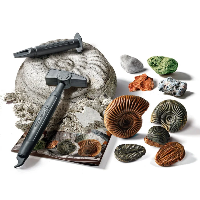Mini Lab Fossil & Minerals - Image 3