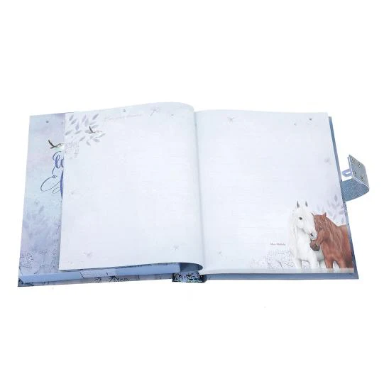 Miss Melody Diary With Code And Sound - Image 3
