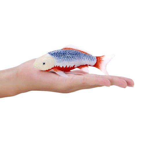 Mojo Asagi Koi Carp - Image 3