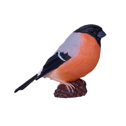 Mojo European Bullfinch - Image 2