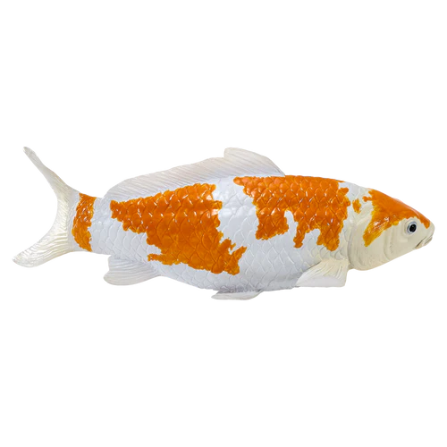 Mojo Ochiba Shigure Koi Carp - Image 2