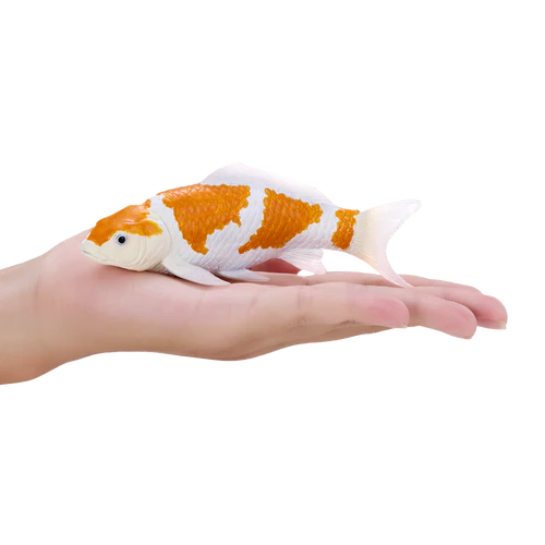 Mojo Ochiba Shigure Koi Carp - Image 3