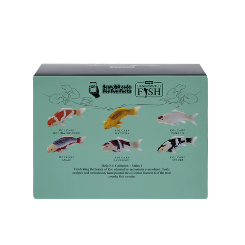 Mojo Ochiba Shigure Koi Carp - Image 4