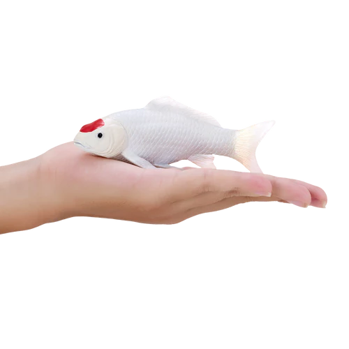 Mojo Tancho Koi Carp - Image 3