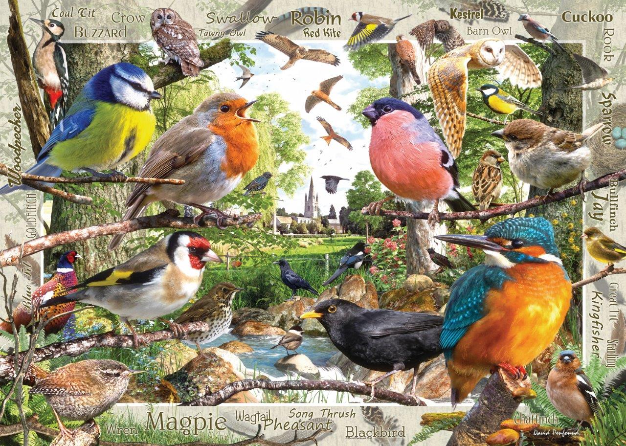 Ravensburger Our Feathered Friends 1000 Piece Jigsaw Puzzle - Image 2