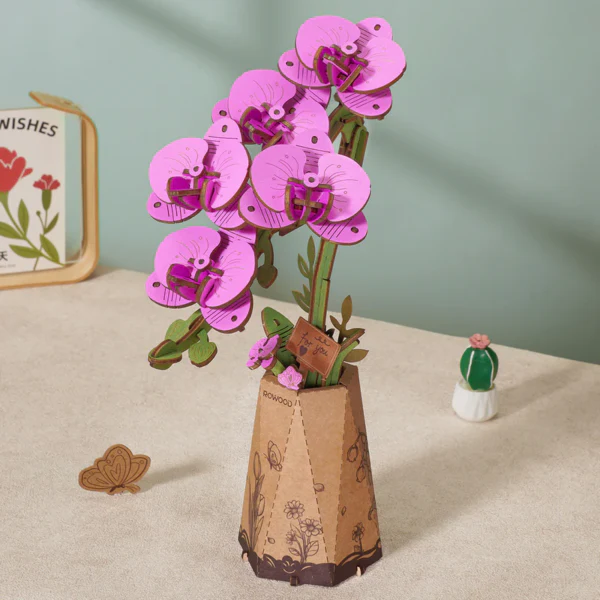 Purple Moth Orchid - Image 3