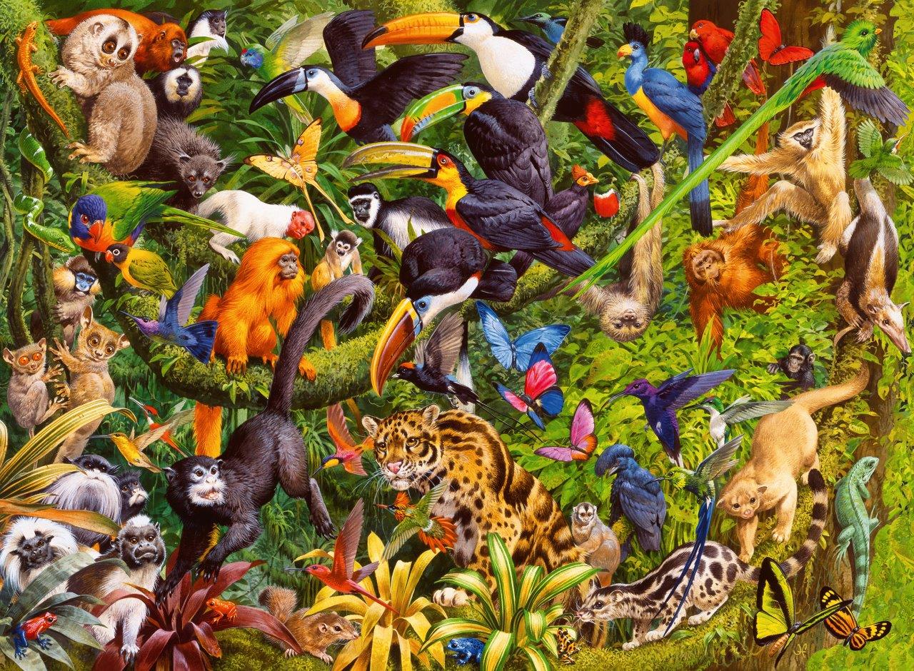 Ravenburger Tropical Rainforest XXL 200 Piece Jigsaw Puzzle - Image 2