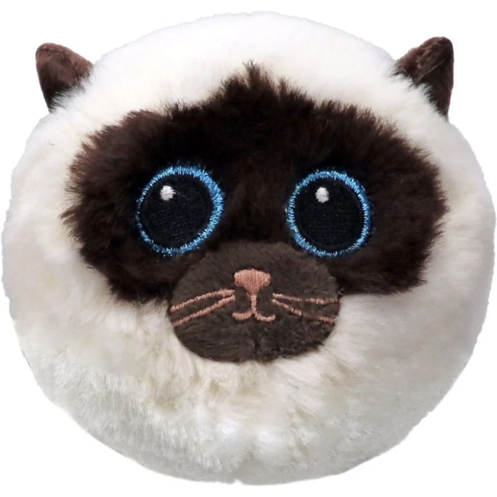 Sammy Siamese Cat