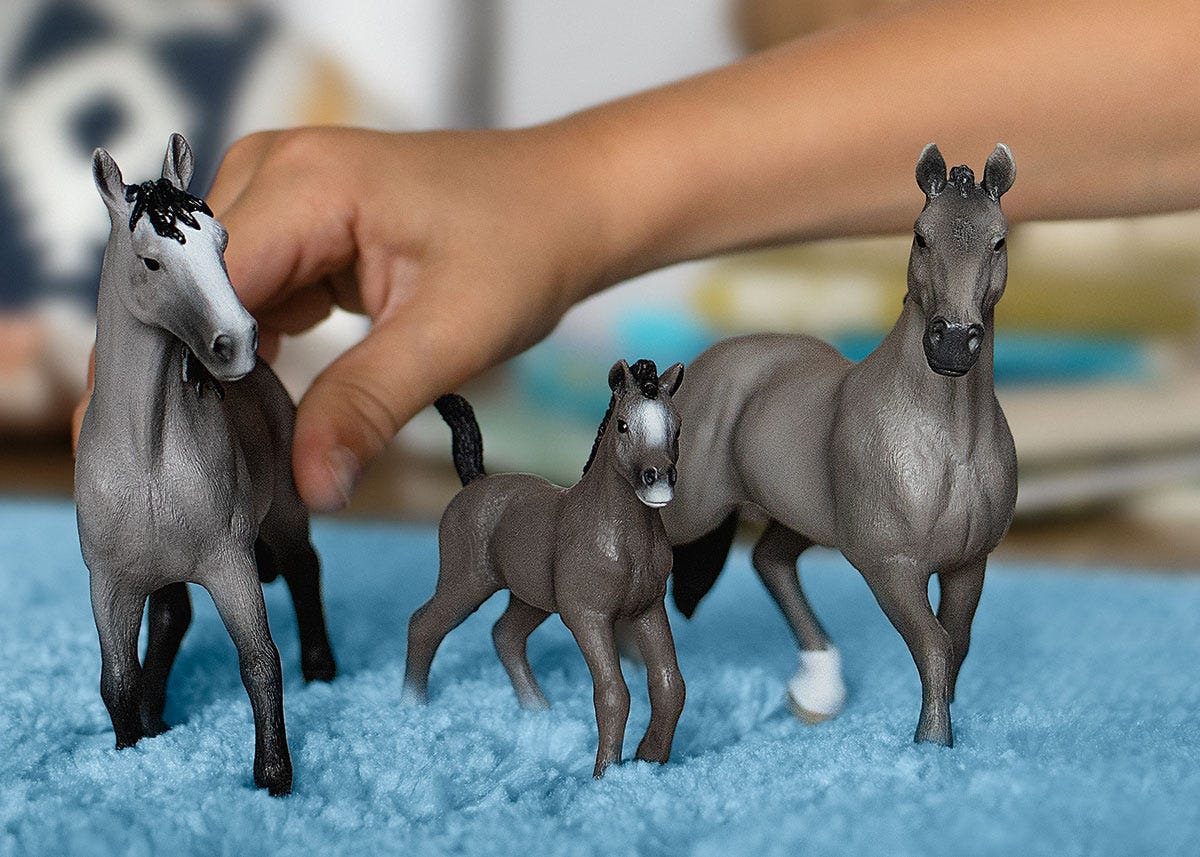 Cheval de Selle Francais Foal - Image 2