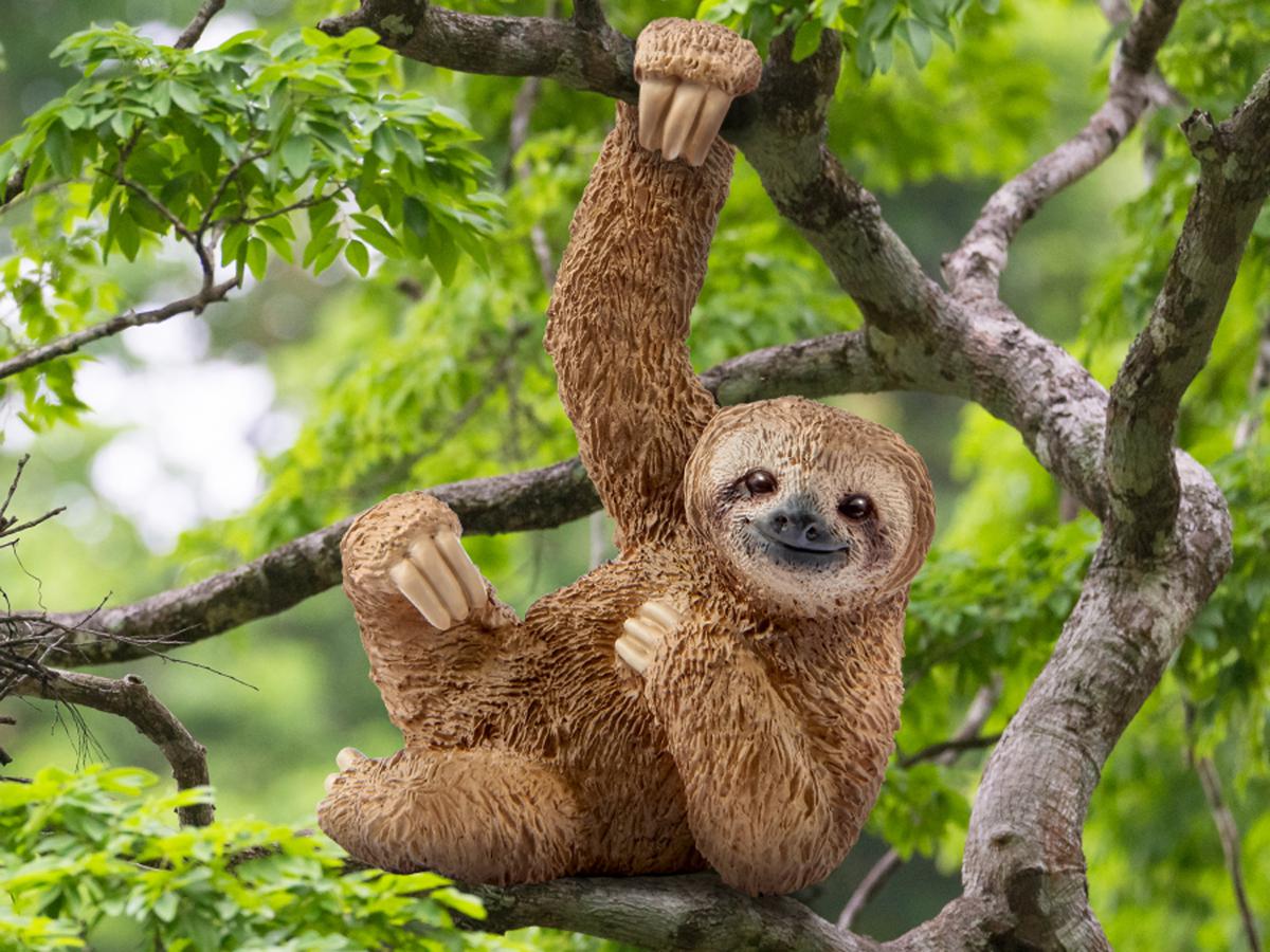 Sloth - Image 2