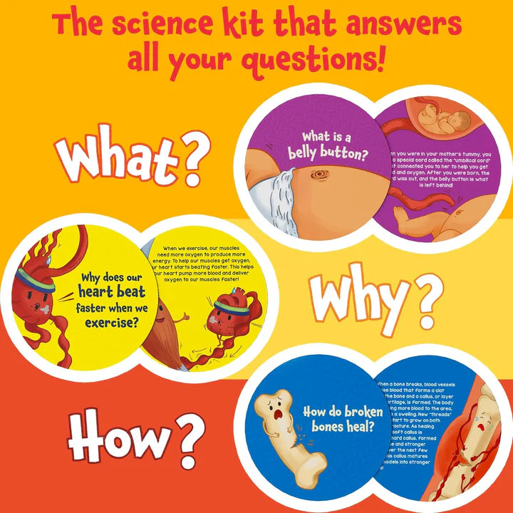Science Snippet Human Body - Image 4